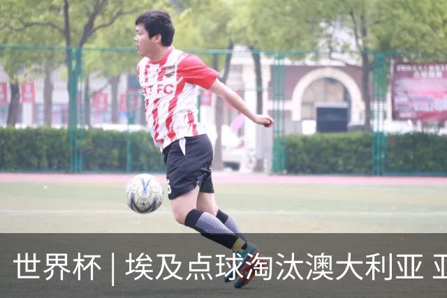 世界杯 | 埃及点球淘汰澳大利亚 亚洲区球队全部出局