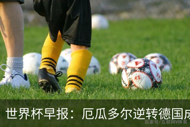 世界杯早报：厄瓜多尔逆转德国成功出线 科特迪瓦队史首次出线