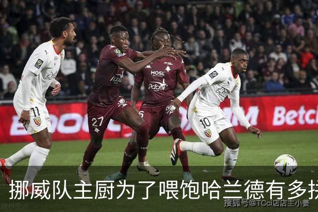 挪威队主厨为了喂饱哈兰德有多拼？他每天要补充6000卡路里热量，进入淘汰赛后球队紧急订购食材